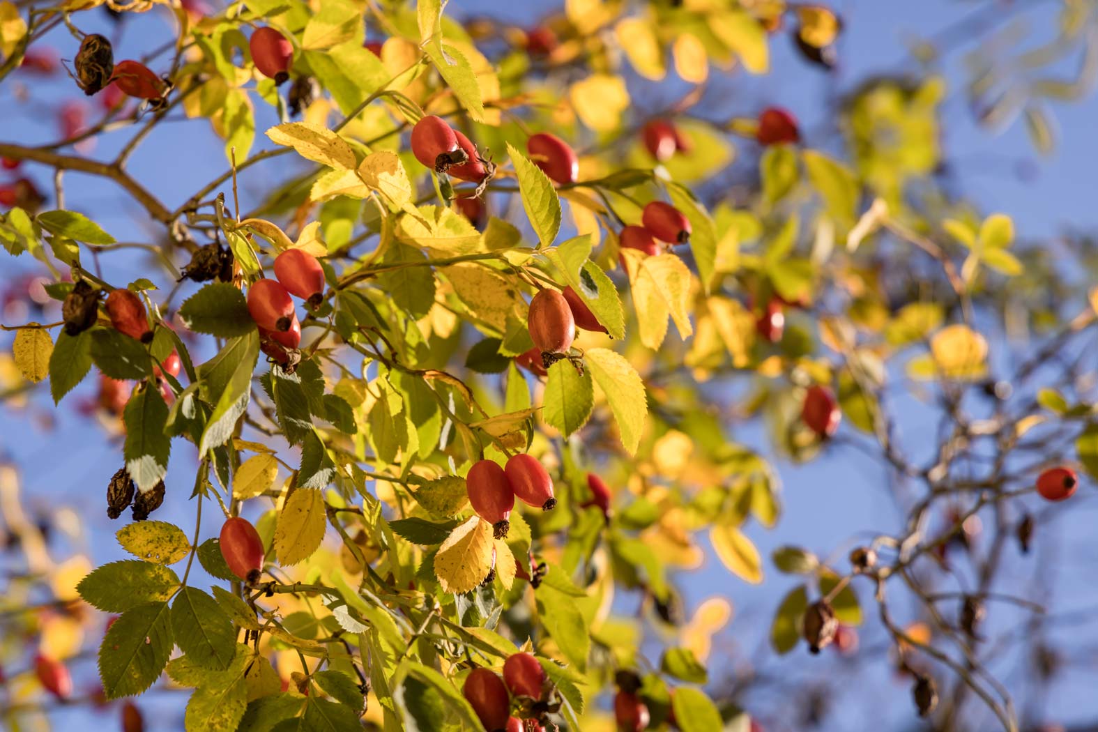 Pflegeheim Deutsch in Paldau bei Feldbach in der Südoststeiermark: Qualität in der Pflege, Ihr Seniorenheim, Altenheim, Altenpflege